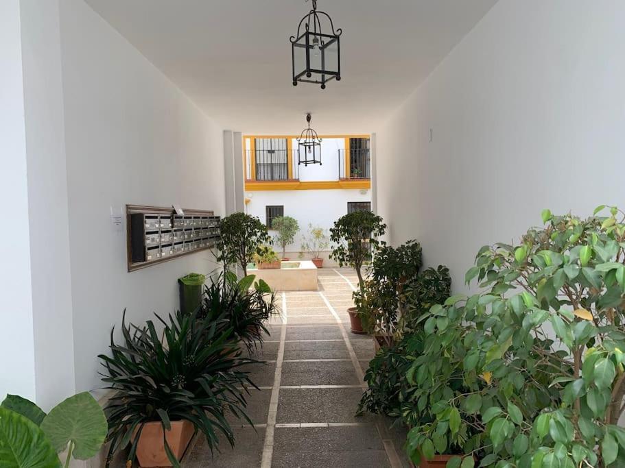 Pilsev Center Apartment إشبيلية المظهر الخارجي الصورة